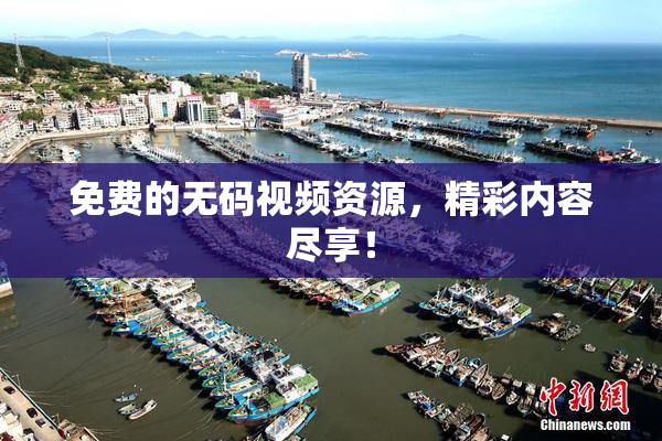免费的无码视频资源，精彩内容尽享！