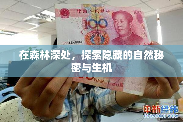 在森林深处，探索隐藏的自然秘密与生机