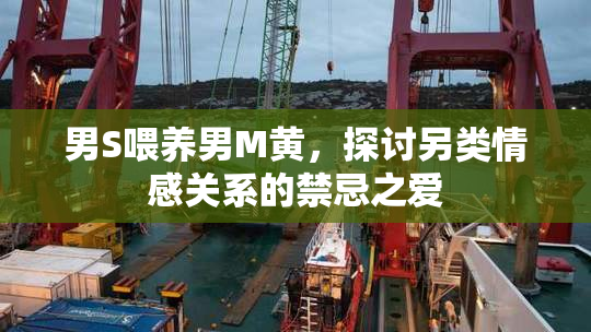 男S喂养男M黄，探讨另类情感关系的禁忌之爱