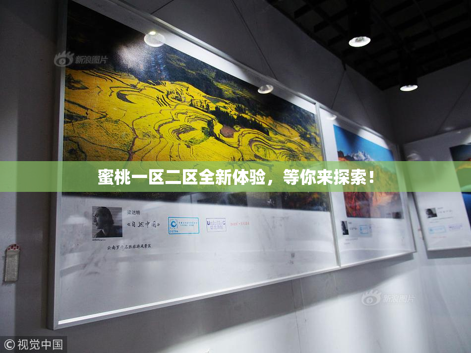 蜜桃一区二区全新体验，等你来探索！