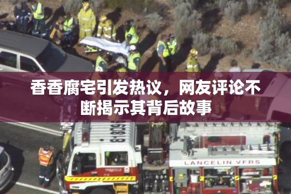 香香腐宅引发热议，网友评论不断揭示其背后故事