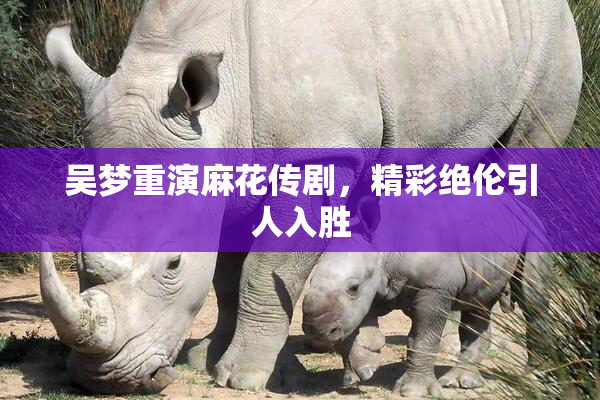 吴梦重演麻花传剧，精彩绝伦引人入胜