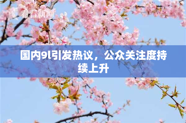 国内9l引发热议，公众关注度持续上升