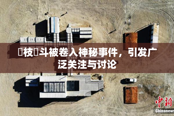 狛枝凪斗被卷入神秘事件，引发广泛关注与讨论