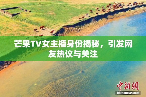 芒果TV女主播身份揭秘，引发网友热议与关注