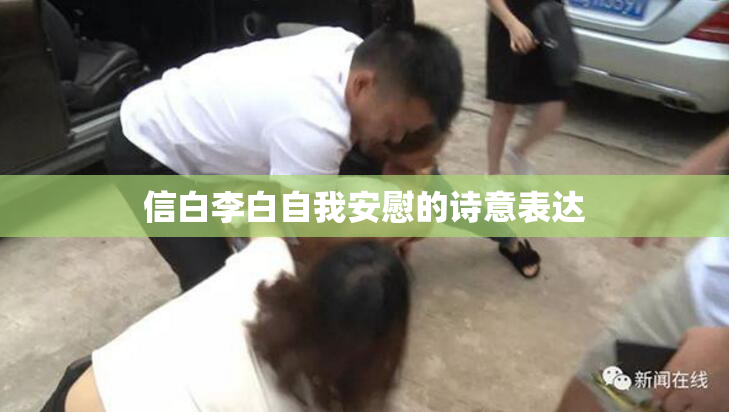 信白李白自我安慰的诗意表达
