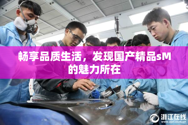 畅享品质生活，发现国产精品sM的魅力所在