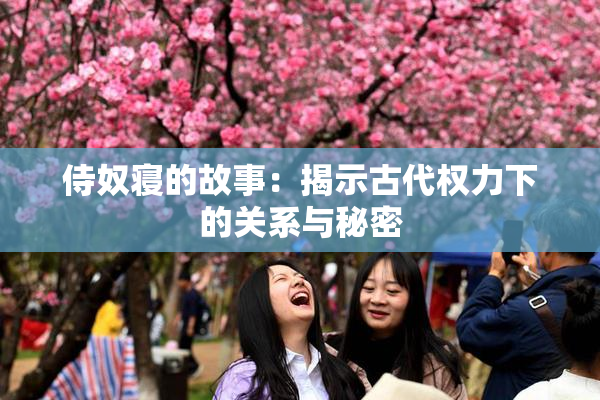侍奴寝的故事：揭示古代权力下的关系与秘密