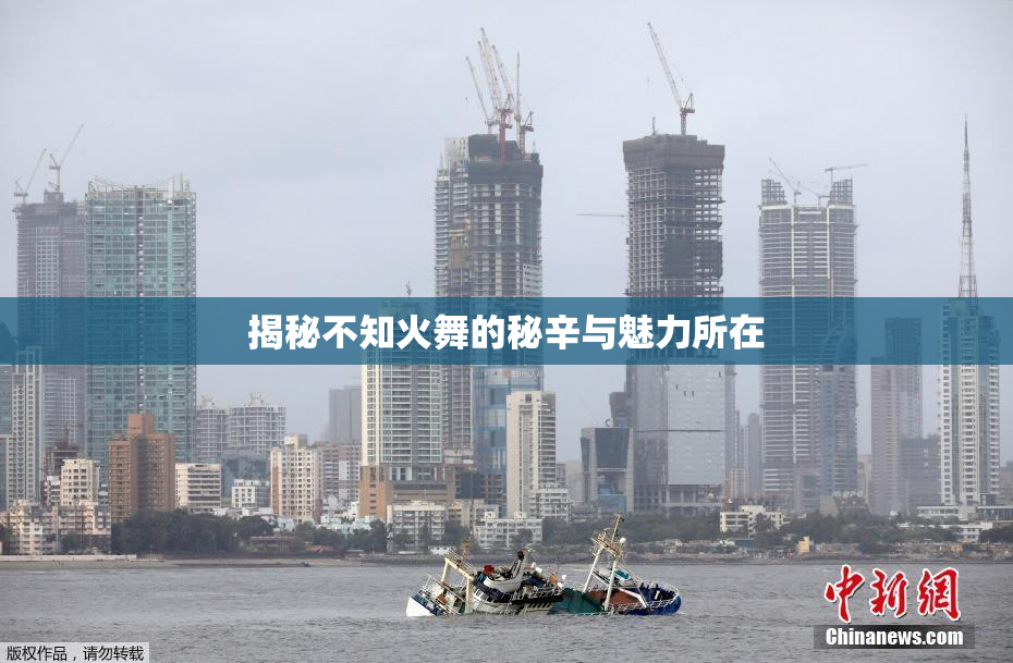 揭秘不知火舞的秘辛与魅力所在