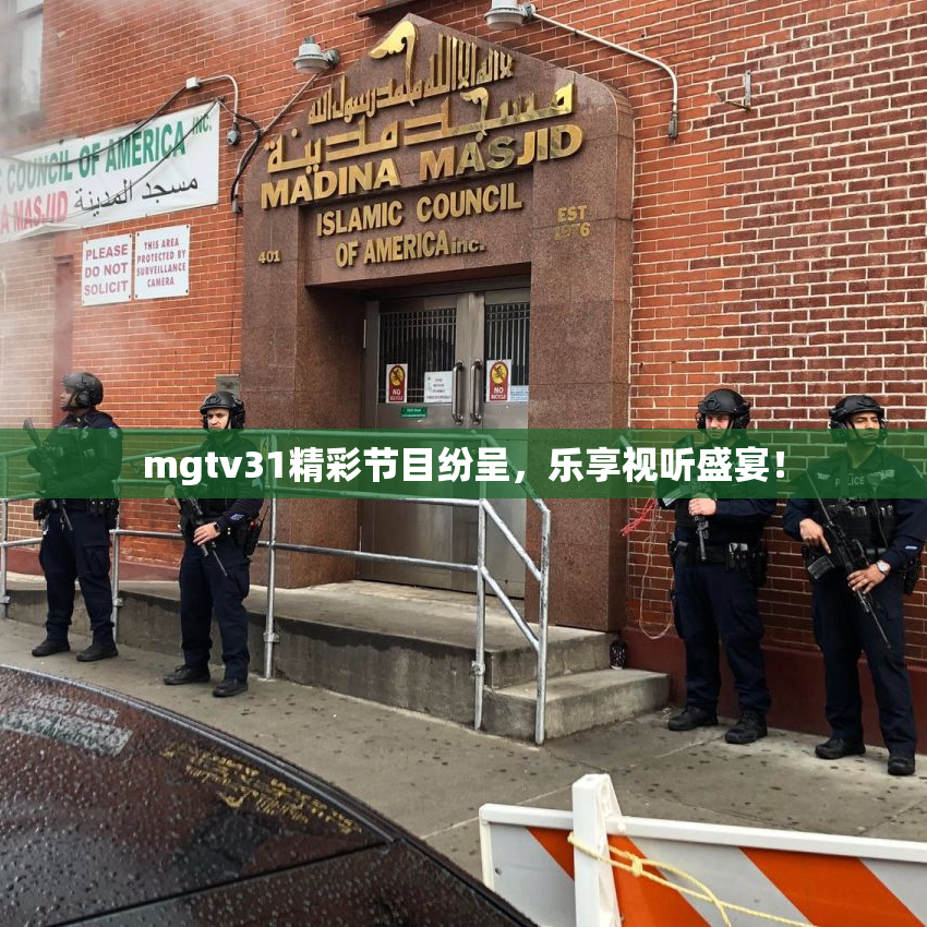 mgtv31精彩节目纷呈，乐享视听盛宴！