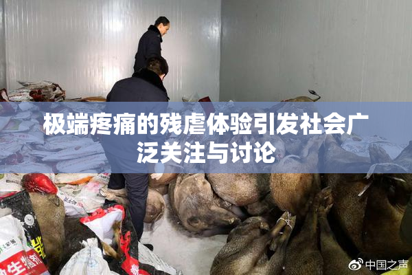 极端疼痛的残虐体验引发社会广泛关注与讨论