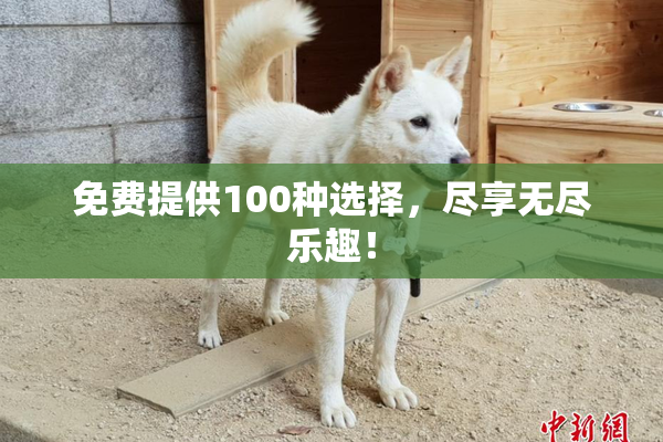 免费提供100种选择，尽享无尽乐趣！