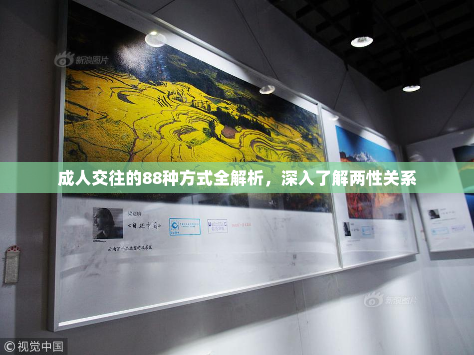 成人交往的88种方式全解析，深入了解两性关系