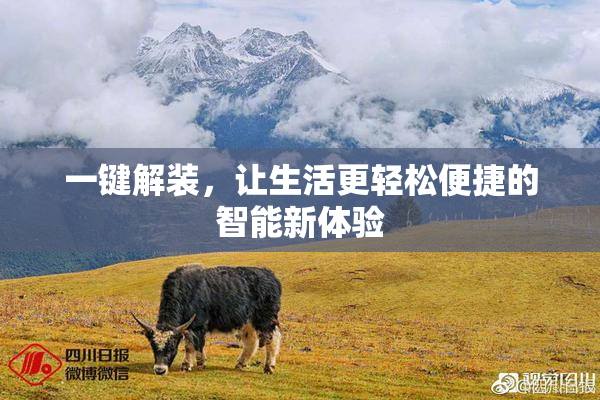 一键解装，让生活更轻松便捷的智能新体验