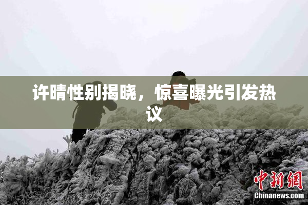 许晴性别揭晓，惊喜曝光引发热议