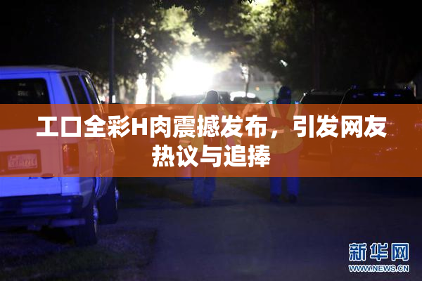 工口全彩H肉震撼发布，引发网友热议与追捧