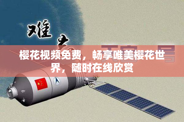 樱花视频免费，畅享唯美樱花世界，随时在线欣赏