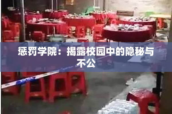 惩罚学院：揭露校园中的隐秘与不公