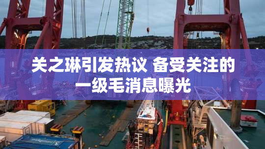 关之琳引发热议 备受关注的一级毛消息曝光
