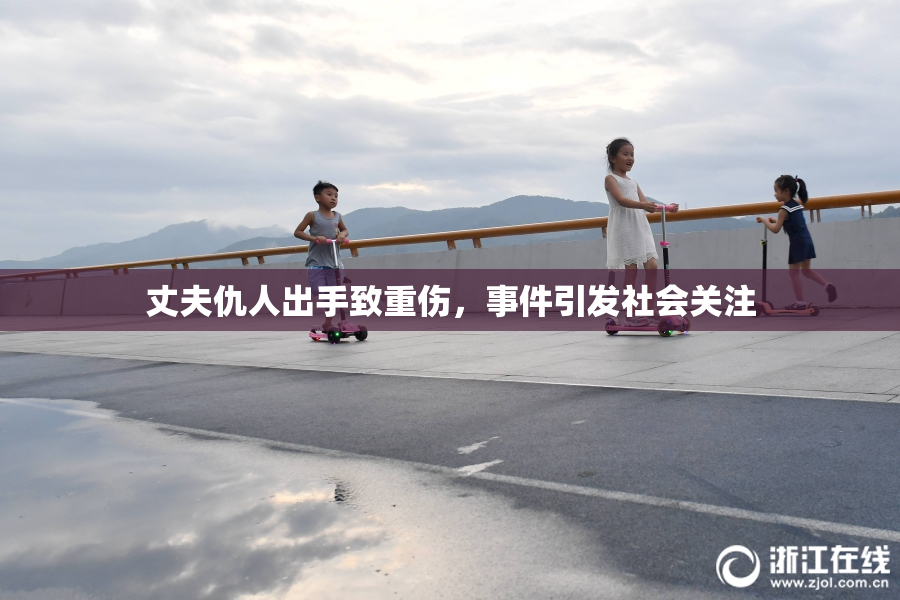 丈夫仇人出手致重伤，事件引发社会关注