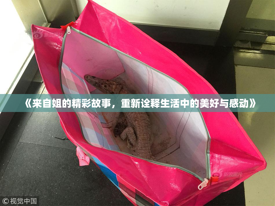 《来自姐的精彩故事，重新诠释生活中的美好与感动》
