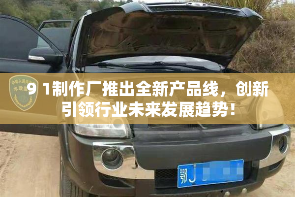 9 1制作厂推出全新产品线，创新引领行业未来发展趋势！