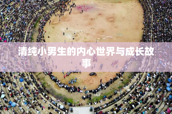 清纯小男生的内心世界与成长故事