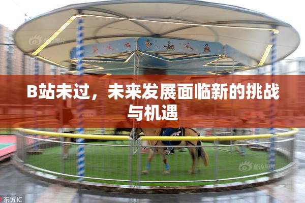 B站未过，未来发展面临新的挑战与机遇
