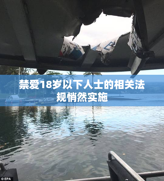 禁爱18岁以下人士的相关法规悄然实施