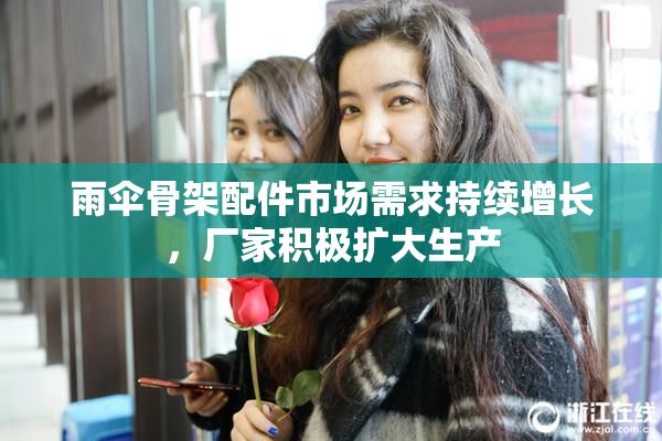 雨伞骨架配件市场需求持续增长，厂家积极扩大生产