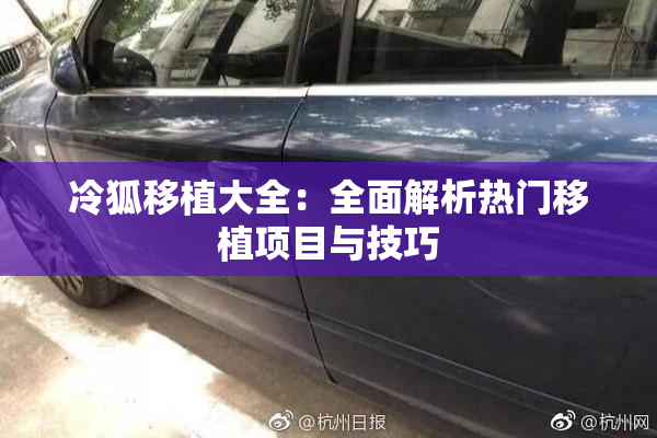 冷狐移植大全：全面解析热门移植项目与技巧