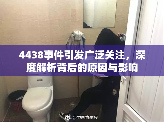 4438事件引发广泛关注，深度解析背后的原因与影响