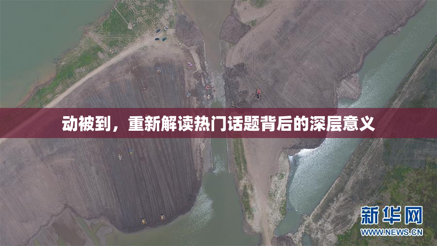动被到，重新解读热门话题背后的深层意义
