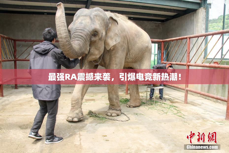 最强RA震撼来袭，引爆电竞新热潮！