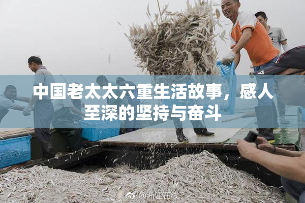 中国老太太六重生活故事，感人至深的坚持与奋斗