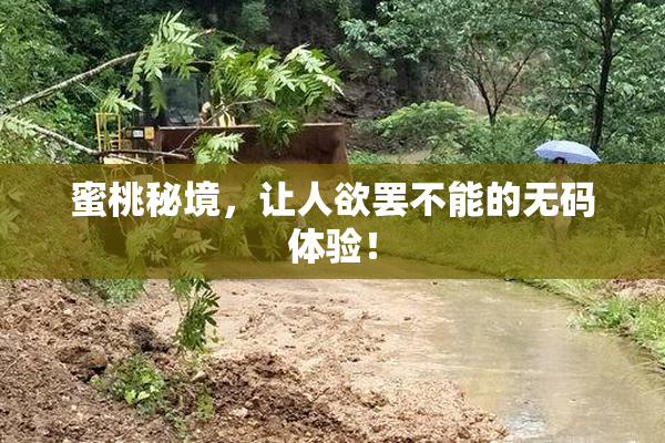 蜜桃秘境，让人欲罢不能的无码体验！