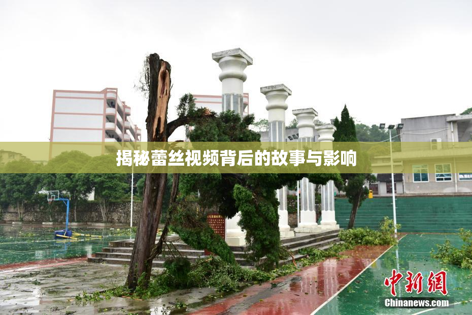 揭秘蕾丝视频背后的故事与影响