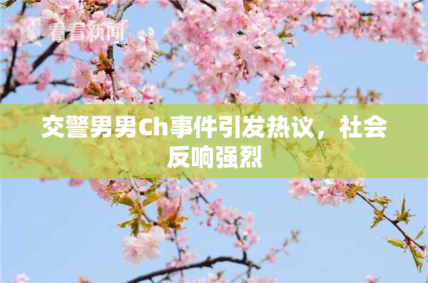 交警男男Ch事件引发热议，社会反响强烈