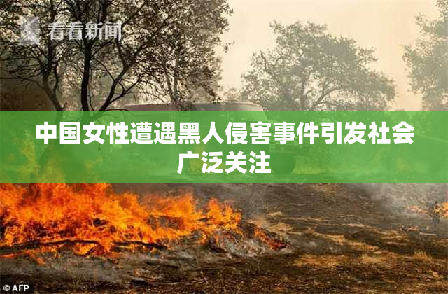 中国女性遭遇黑人侵害事件引发社会广泛关注