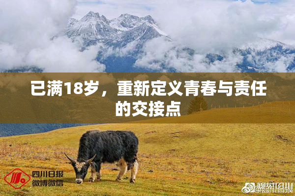 已满18岁，重新定义青春与责任的交接点