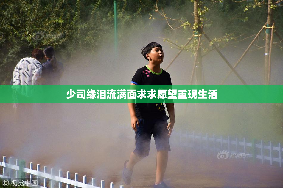 少司缘泪流满面求求愿望重现生活
