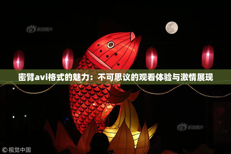 密臂avi格式的魅力：不可思议的观看体验与激情展现