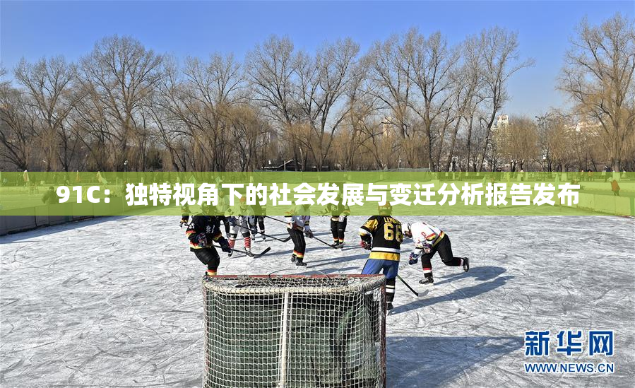 91C：独特视角下的社会发展与变迁分析报告发布