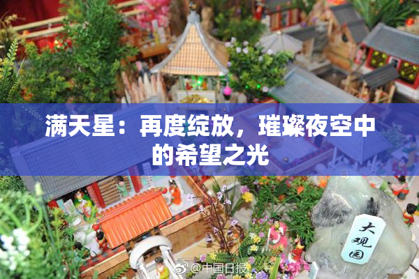 满天星：再度绽放，璀璨夜空中的希望之光