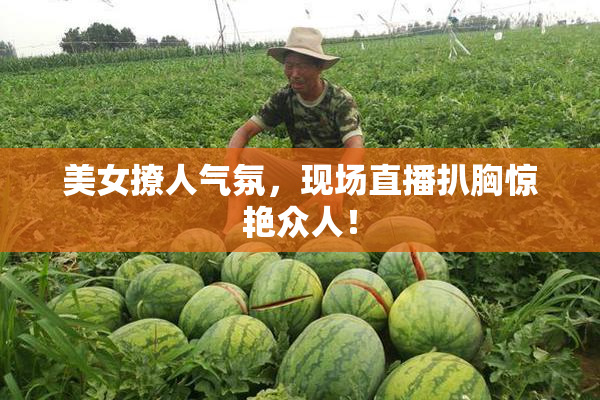 美女撩人气氛，现场直播扒胸惊艳众人！