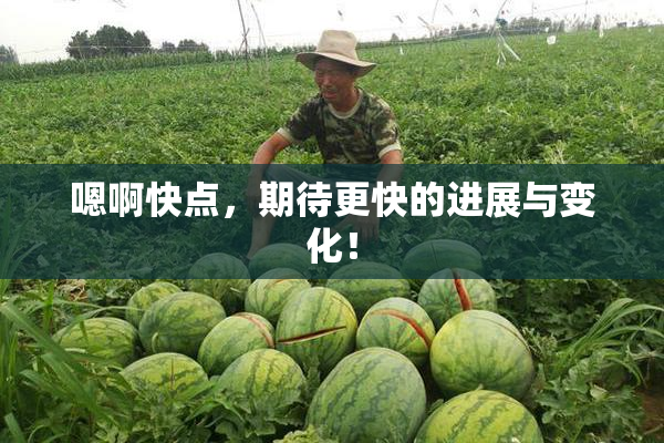 嗯啊快点，期待更快的进展与变化！