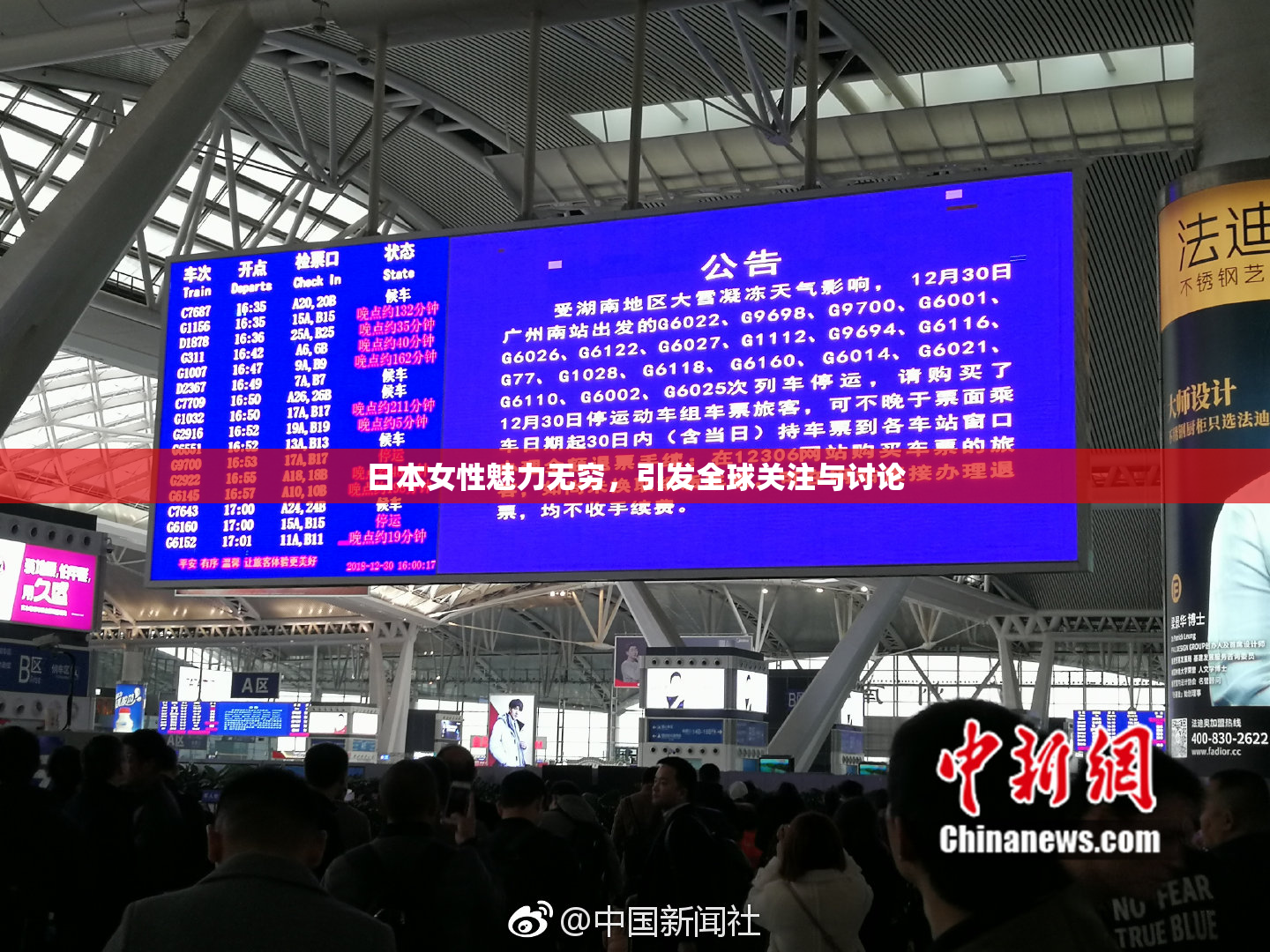 日本女性魅力无穷，引发全球关注与讨论