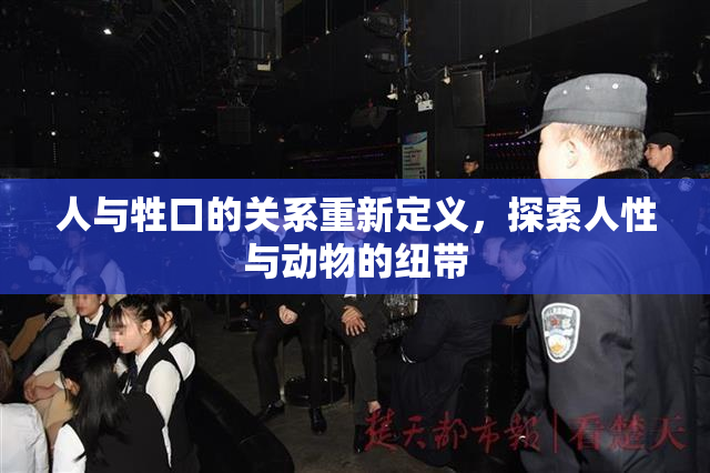 人与牲口的关系重新定义，探索人性与动物的纽带