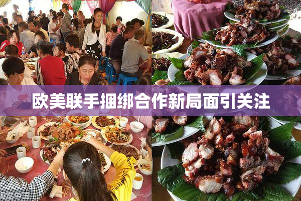 欧美联手捆绑合作新局面引关注