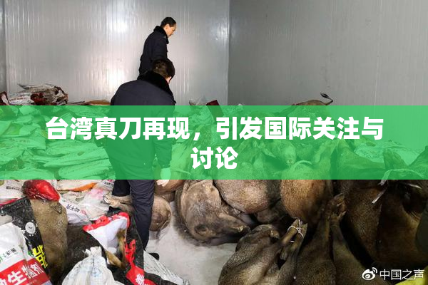 台湾真刀再现，引发国际关注与讨论